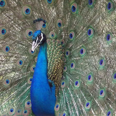 Hotel Terme Di Monte