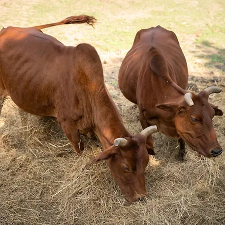 Terme Di Monte Hotel 3*