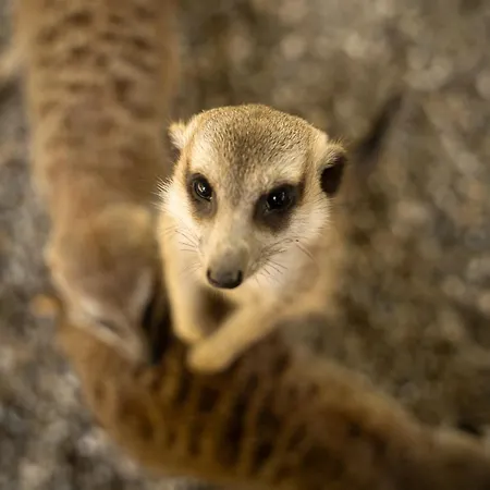 Hotel Terme Di Monte Valenza