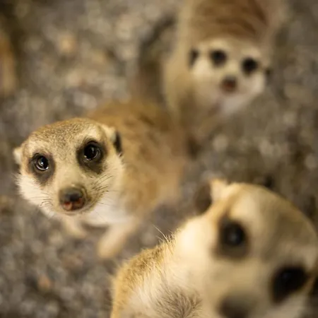 Terme Di Monte Valenza