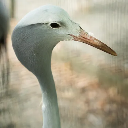 Terme Di Monte 3* Valenza