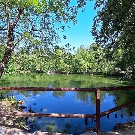 Terme Di Monte 3*