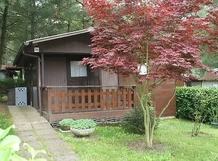 Hotel Terme Di Monte 3*