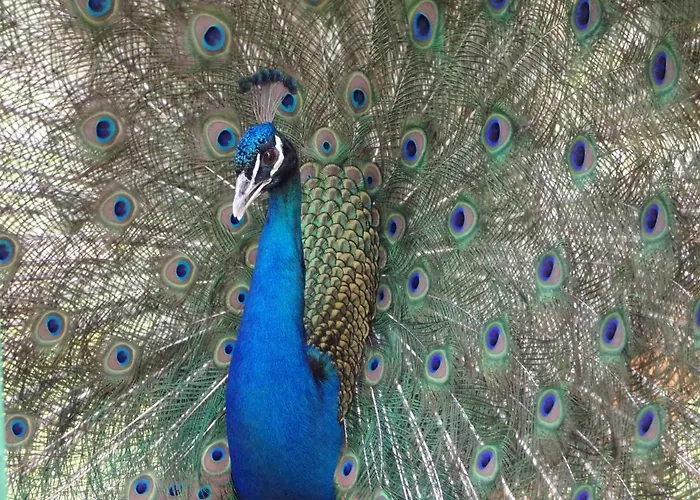 Hotel Terme Di Monte