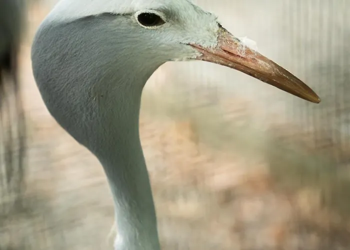 Terme Di Monte 3* Valenza